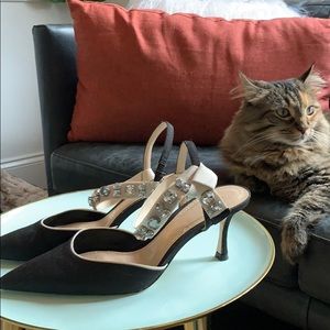 Zara kitten heel . Black with jewels pumps